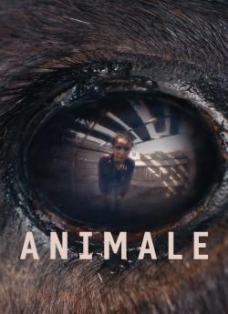 Animale flemmix
