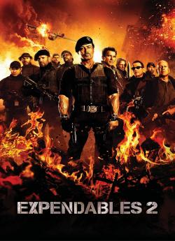 Expendables 2 : Unité Spéciale flemmix