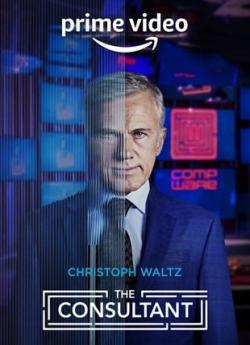 The Consultant - Saison 1 flemmix