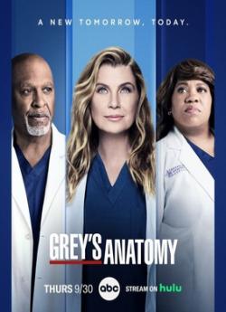 Grey's Anatomy - Saison 18 flemmix