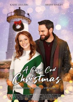 A Cape Cod Christmas flemmix