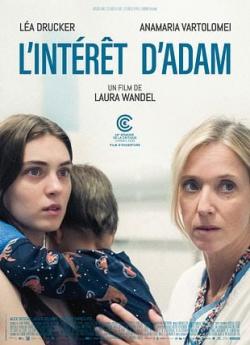 L’Intérêt d’Adam flemmix