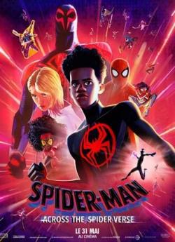Spider-Man : Across The Spider-Verse flemmix
