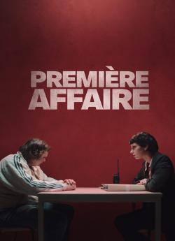 Première Affaire flemmix