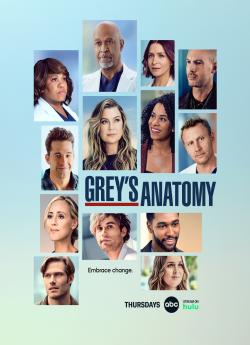 Grey's Anatomy - Saison 19 flemmix