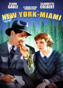 New York-Miami flemmix