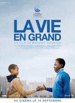 La Vie en grand flemmix