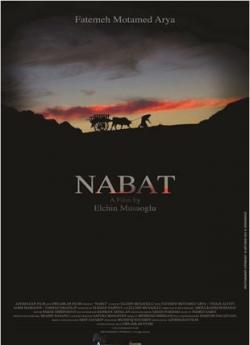 Nabat flemmix