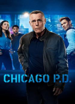Chicago Police Department - Saison 13 wiflix