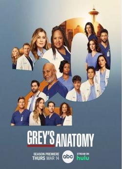 Grey's Anatomy - Saison 20 flemmix