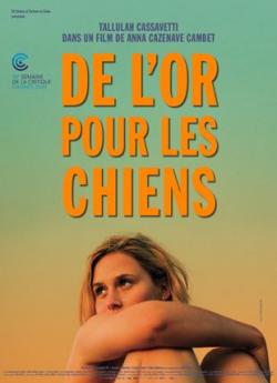De l’or pour les chiens flemmix