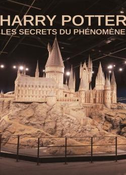 Harry Potter : les secrets du phénomène flemmix