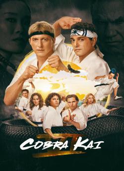 Cobra Kai - Saison 6 flemmix