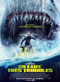 En eaux très troubles flemmix