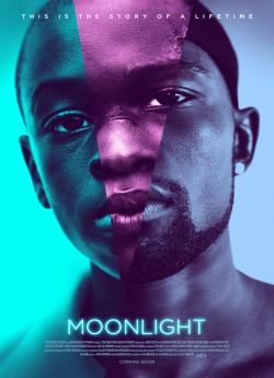 Moonlight flemmix