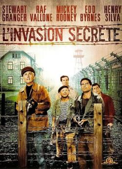 L'Invasion secrète flemmix