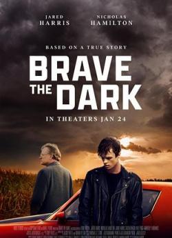 Brave The Dark flemmix