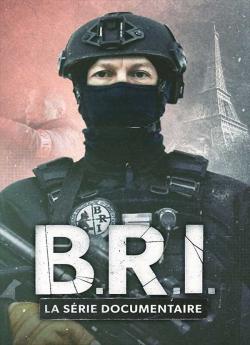 B.R.I. - la série documentaire - Saison 1 flemmix