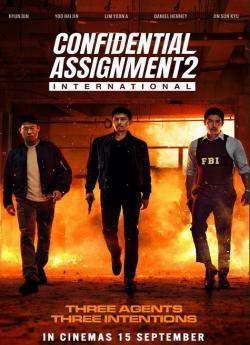 Confidential Assignment 2: International flemmix