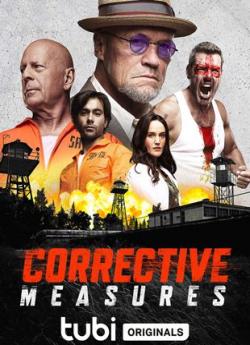 Corrective Measures flemmix