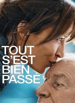 Tout s'est bien passé flemmix