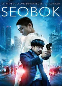 Seobok flemmix