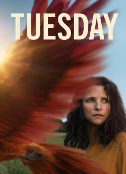 Tuesday flemmix