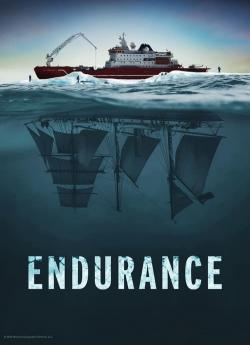 Endurance flemmix