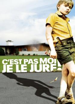 C'est pas moi, je le jure ! flemmix