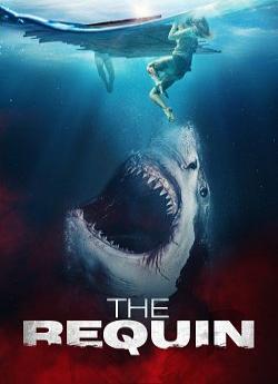 The Requin flemmix