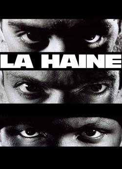 La Haine flemmix