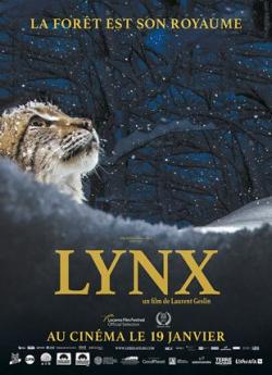 Lynx flemmix