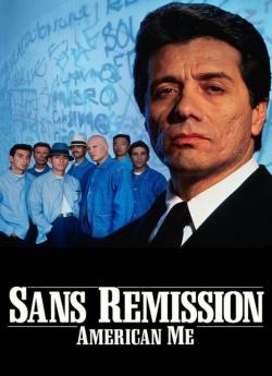 Sans remission flemmix