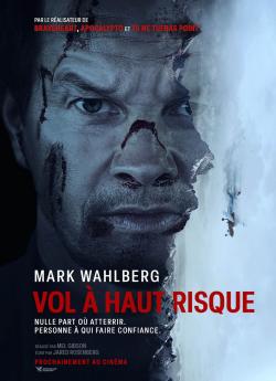 Vol à haut risque flemmix