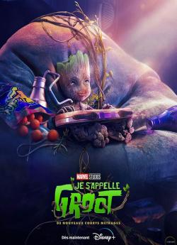 Je s'appelle Groot - Saison 2 flemmix