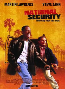 National security flemmix