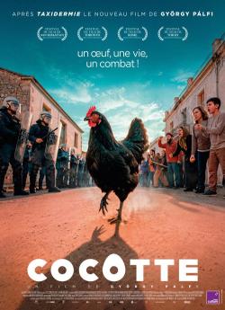 Cocotte flemmix