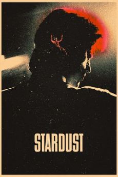 Stardust flemmix