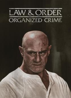 New York Crime Organisé - Saison 5 flemmix