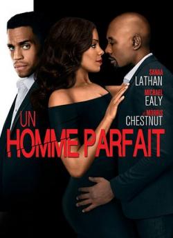 Un Homme Parfait flemmix