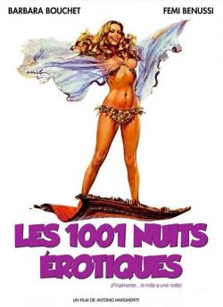 Les 1001 nuits érotiques flemmix