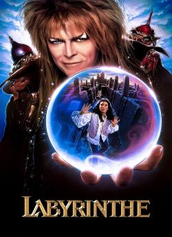 Labyrinthe flemmix