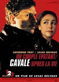 Cavale flemmix