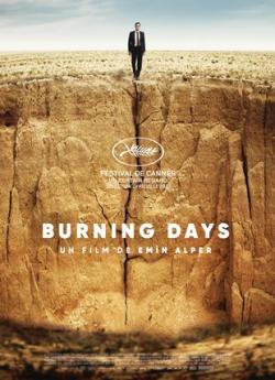 Burning Days flemmix