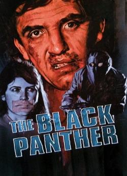 La Panthère noire wiflix