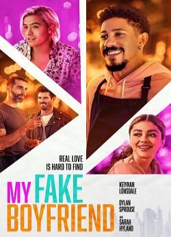 My Fake Boyfriend flemmix