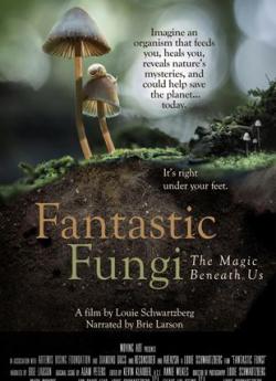 Fantastic Fungi flemmix