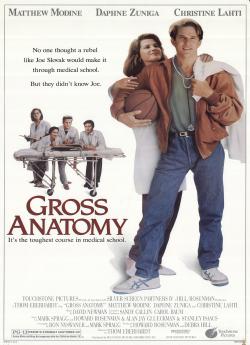 Gross anatomy flemmix