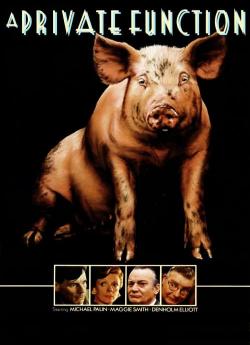 Porc Royal flemmix
