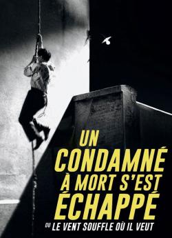 Un Condamné à mort s'est échappé flemmix